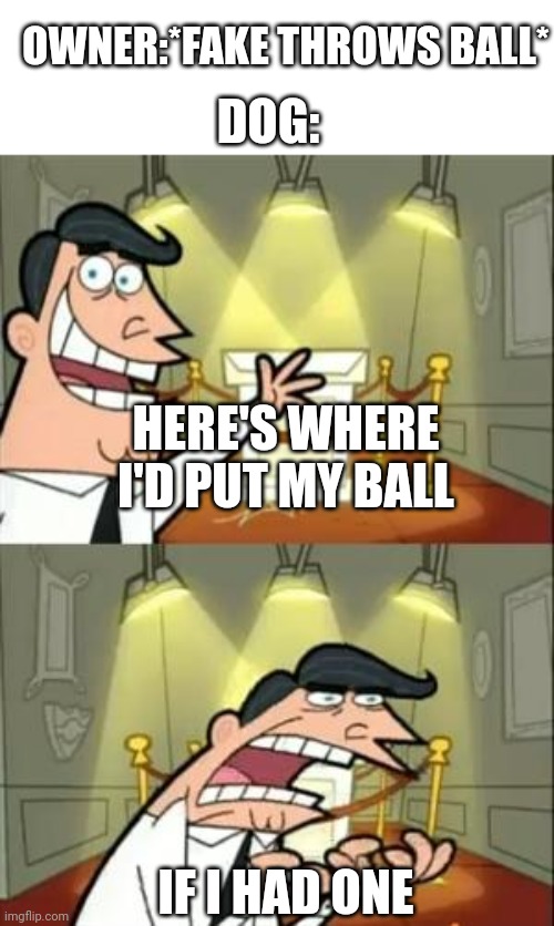 This Is Where I'd Put My Trophy If I Had One | OWNER:*FAKE THROWS BALL*; DOG:; HERE'S WHERE I'D PUT MY BALL; IF I HAD ONE | image tagged in memes,this is where i'd put my trophy if i had one | made w/ Imgflip meme maker