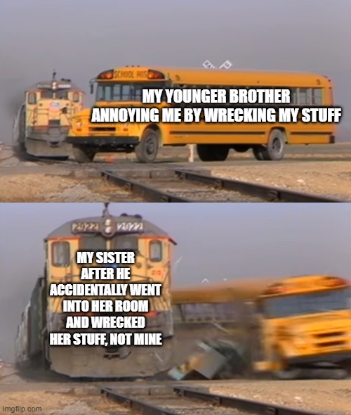 Random Funny Memes 10 | MY YOUNGER BROTHER ANNOYING ME BY WRECKING MY STUFF; MY SISTER AFTER HE ACCIDENTALLY WENT INTO HER ROOM AND WRECKED HER STUFF, NOT MINE | image tagged in a train hitting a school bus | made w/ Imgflip meme maker