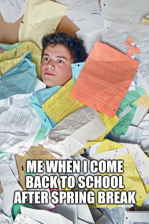 so true | ME WHEN I COME BACK TO SCHOOL AFTER SPRING BREAK | image tagged in funny | made w/ Imgflip meme maker