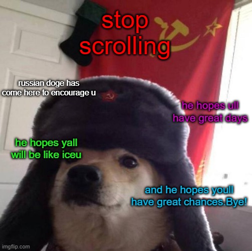 :) | stop scrolling; russian doge has come here to encourage u; he hopes ull have great days; he hopes yall will be like iceu; and he hopes youll have great chances.Bye! | image tagged in russian doge,doge,memes,funny | made w/ Imgflip meme maker