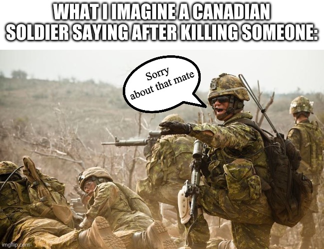 Military Soldiers | WHAT I IMAGINE A CANADIAN SOLDIER SAYING AFTER KILLING SOMEONE:; Sorry about that mate | image tagged in military soldiers | made w/ Imgflip meme maker