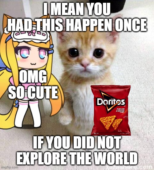 sup so upvote if this makes no sense lol | I MEAN YOU HAD THIS HAPPEN ONCE; OMG SO CUTE; IF YOU DID NOT EXPLORE THE WORLD | image tagged in cats | made w/ Imgflip meme maker