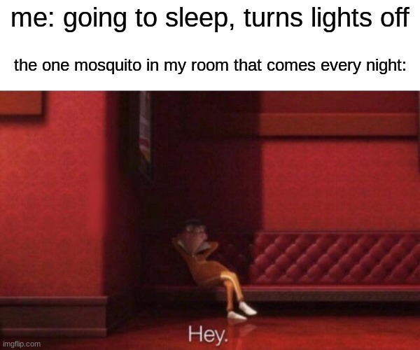 the mosquito never died and will never die | me: going to sleep, turns lights off; the one mosquito in my room that comes every night: | image tagged in hey | made w/ Imgflip meme maker