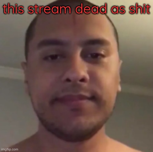 Cheese | this stream dead as shit | image tagged in my reaction to that information | made w/ Imgflip meme maker