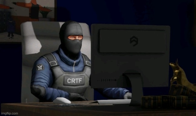 counter-terrorist looking at the computer | image tagged in counter-terrorist looking at the computer | made w/ Imgflip meme maker