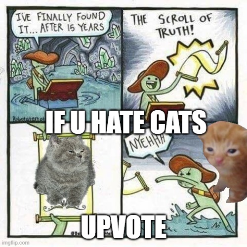 scroll of truth | IF U HATE CATS; UPVOTE | image tagged in scroll of truth | made w/ Imgflip meme maker