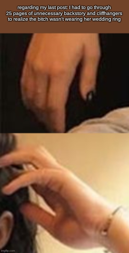 regarding my last post: I had to go through 25 pages of unnecessary backstory and cliffhangers to realize the bitch wasn't wearing her wedding ring | made w/ Imgflip meme maker