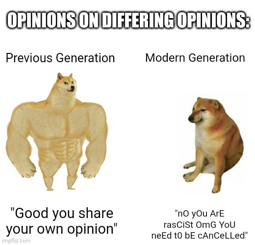 In which world do we live in nowadays... | OPINIONS ON DIFFERING OPINIONS:; Previous Generation; Modern Generation; "nO yOu ArE rasCiSt OmG YoU neEd t0 bE cAnCeLLed"; "Good you share your own opinion" | image tagged in memes,funny,buff doge vs cheems,modern problems | made w/ Imgflip meme maker
