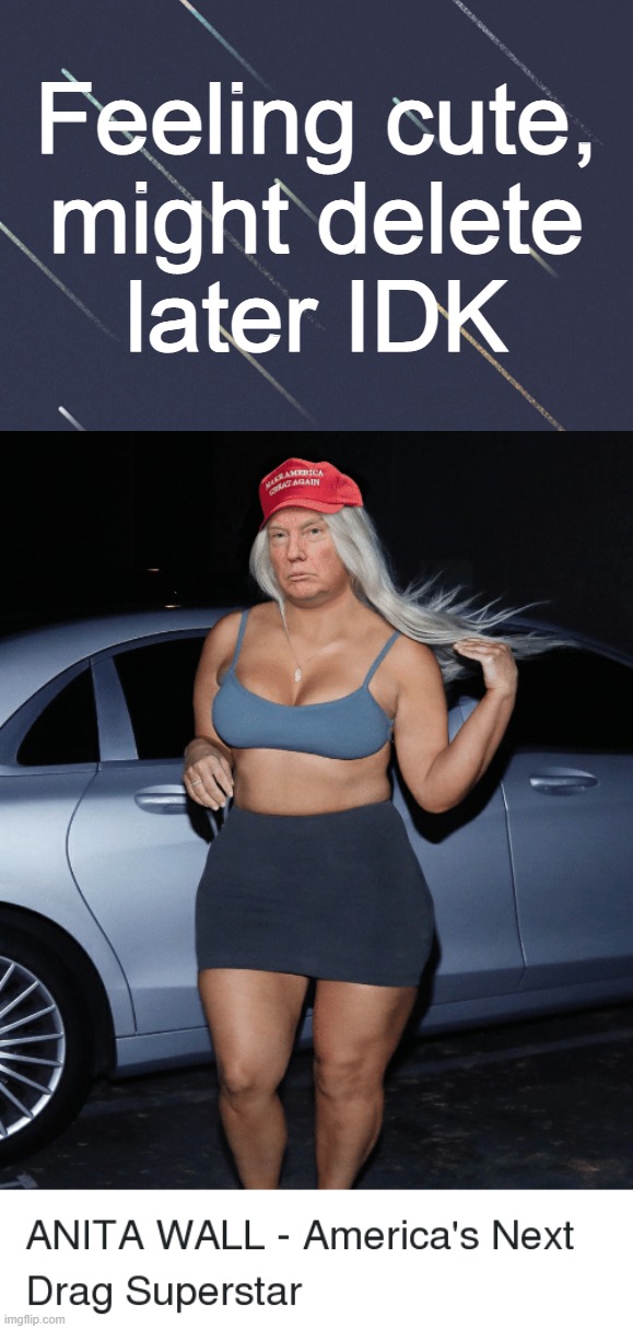 I'm the grifter, the MAGA queen Pay me before I start I'm the grifter, I'm guaranteed To tear your soul apart... | Feeling cute,
might delete
later IDK | image tagged in drag queen,anita,wall,feeling cute,delete,later | made w/ Imgflip meme maker