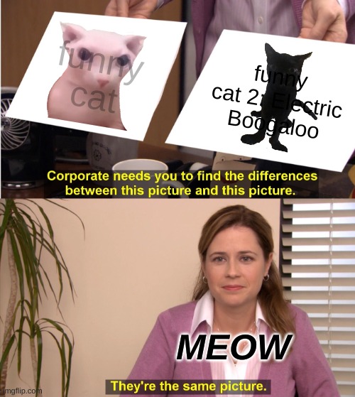 They're The Same Picture | funny cat; funny cat 2: Electric Boogaloo; MEOW | image tagged in memes,they're the same picture | made w/ Imgflip meme maker