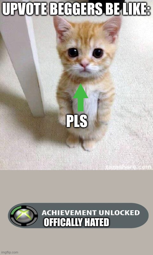 Pls dont missunderstand | UPVOTE BEGGERS BE LIKE:; PLS; OFFICALLY HATED | image tagged in memes,cute cat | made w/ Imgflip meme maker