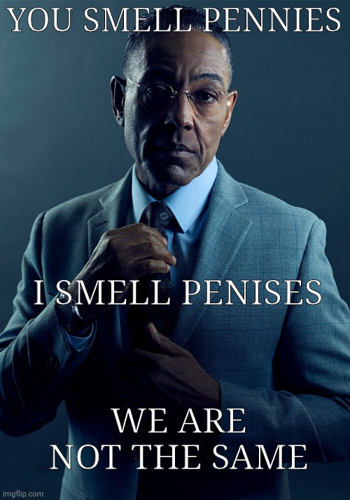 Gus Fring we are not the same | YOU SMELL PENNIES I SMELL PENISES WE ARE NOT THE SAME | image tagged in gus fring we are not the same | made w/ Imgflip meme maker