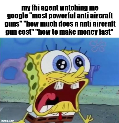 my fbi agent watching me google "most powerful anti aircraft guns" "how much does a anti aircraft gun cost" "how to make money fast" | image tagged in blank white template,spongebob crying/screaming | made w/ Imgflip meme maker