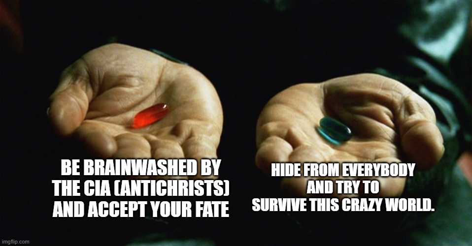 Red pill blue pill | BE BRAINWASHED BY THE CIA (ANTICHRISTS) AND ACCEPT YOUR FATE; HIDE FROM EVERYBODY AND TRY TO SURVIVE THIS CRAZY WORLD. | image tagged in red pill blue pill | made w/ Imgflip meme maker