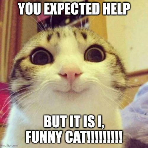 he happy | YOU EXPECTED HELP; BUT IT IS I, FUNNY CAT!!!!!!!!! | image tagged in memes,smiling cat | made w/ Imgflip meme maker