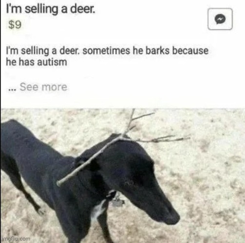 Wanna buy an autistic deer | made w/ Imgflip meme maker