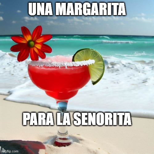 una margarita para la senorita | UNA MARGARITA; PARA LA SENORITA | image tagged in margarita,mexico,beach,senorita | made w/ Imgflip meme maker