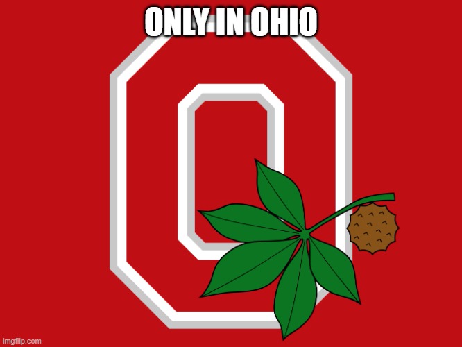Ohio State flag | ONLY IN OHIO | image tagged in ohio state flag | made w/ Imgflip meme maker
