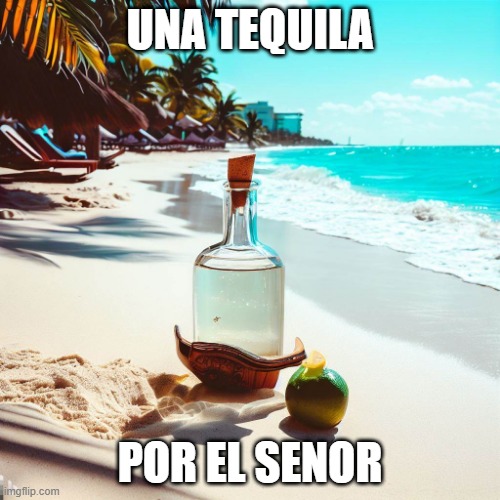 una tequila por el senor | UNA TEQUILA; POR EL SENOR | image tagged in mexico,beach,tequila | made w/ Imgflip meme maker
