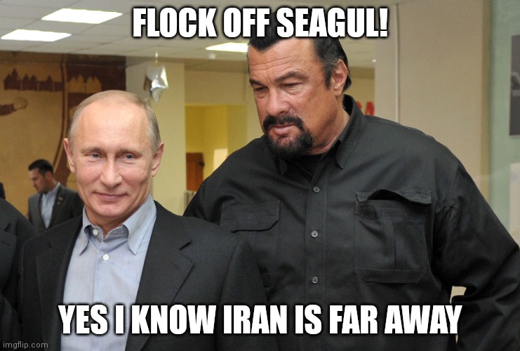 Steven segal | FLOCK OFF SEAGUL! YES I KNOW IRAN IS FAR AWAY | image tagged in funny memes,music | made w/ Imgflip meme maker