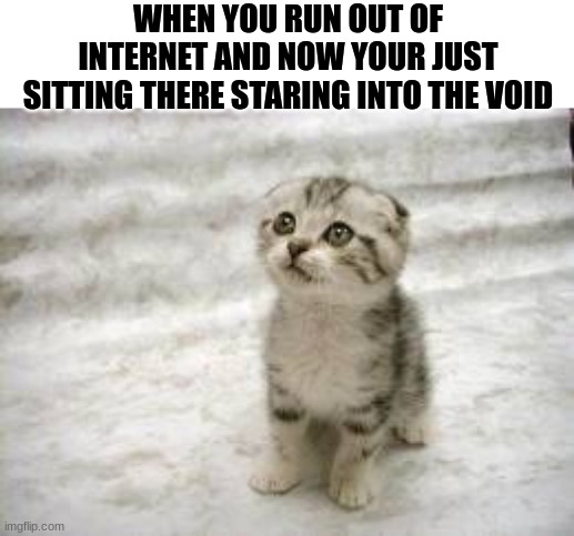 Me irl | WHEN YOU RUN OUT OF INTERNET AND NOW YOUR JUST SITTING THERE STARING INTO THE VOID | image tagged in memes,sad cat,relatable | made w/ Imgflip meme maker
