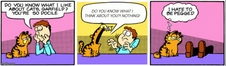 Hate Garfield | DO YOU KNOW WHAT I THINK ABOUT YOU?! NOTHING! | image tagged in grumpy garfield | made w/ Imgflip meme maker