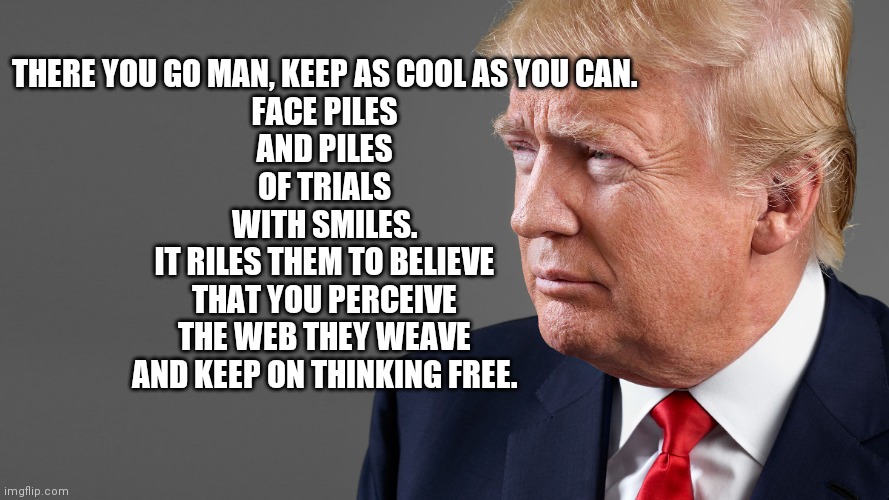 Trump 2024 | THERE YOU GO MAN, KEEP AS COOL AS YOU CAN.
FACE PILES
AND PILES
OF TRIALS
WITH SMILES.
IT RILES THEM TO BELIEVE
THAT YOU PERCEIVE
THE WEB THEY WEAVE
AND KEEP ON THINKING FREE. | image tagged in president trump,george soros,alvin bragg,the new new world order | made w/ Imgflip meme maker