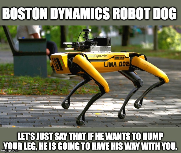 Robo-Dog | BOSTON DYNAMICS ROBOT DOG; LET'S JUST SAY THAT IF HE WANTS TO HUMP YOUR LEG, HE IS GOING TO HAVE HIS WAY WITH YOU. | image tagged in robot | made w/ Imgflip meme maker