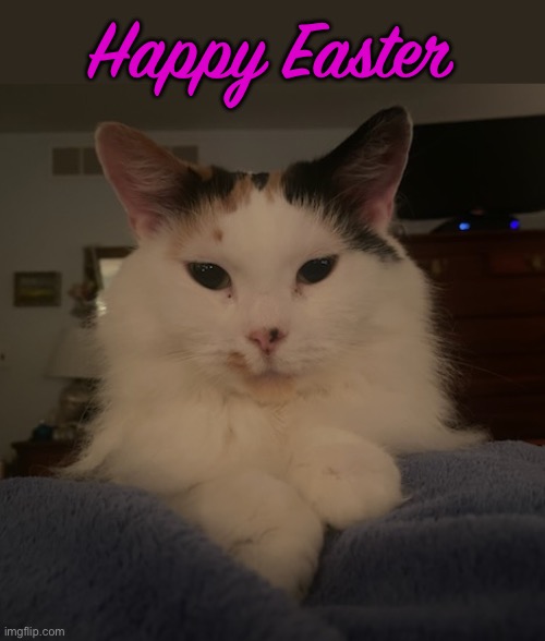 Happy Easter | made w/ Imgflip meme maker