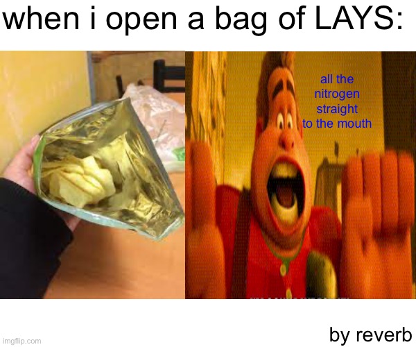 natural LAYS | when i open a bag of LAYS:; all the nitrogen straight to the mouth; by reverb | image tagged in reverb,lays,chips,you had one job,fun | made w/ Imgflip meme maker