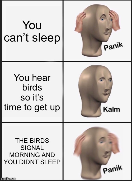Panik Kalm Panik | You can’t sleep; You hear birds so it’s time to get up; THE BIRDS SIGNAL MORNING AND YOU DIDNT SLEEP | image tagged in memes,panik kalm panik | made w/ Imgflip meme maker