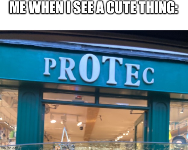 I must protec | ME WHEN I SEE A CUTE THING: | image tagged in protection,cute,funny | made w/ Imgflip meme maker