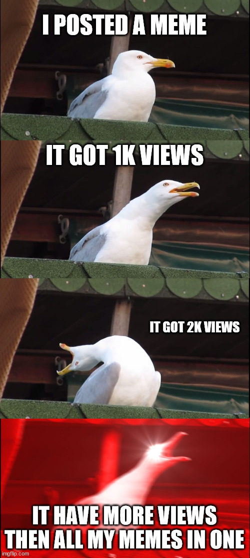 2K ? | I POSTED A MEME; IT GOT 1K VIEWS; IT GOT 2K VIEWS; IT HAVE MORE VIEWS THEN ALL MY MEMES IN ONE | image tagged in memes,inhaling seagull | made w/ Imgflip meme maker