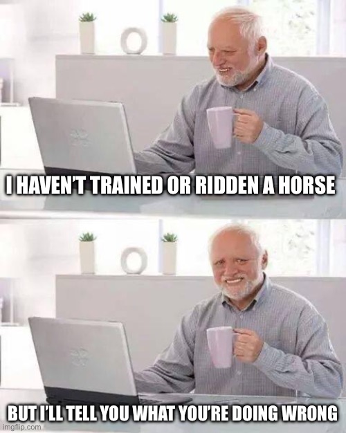 Horse trainer , know it all, | I HAVEN’T TRAINED OR RIDDEN A HORSE; BUT I’LL TELL YOU WHAT YOU’RE DOING WRONG | image tagged in memes,hide the pain harold | made w/ Imgflip meme maker