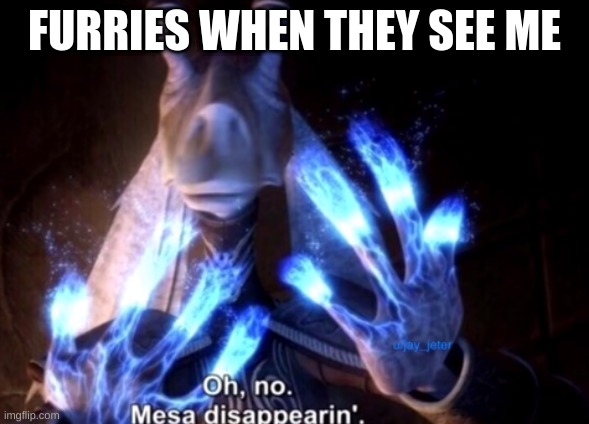 mesa disapearing | FURRIES WHEN THEY SEE ME | image tagged in mesa disapearing | made w/ Imgflip meme maker