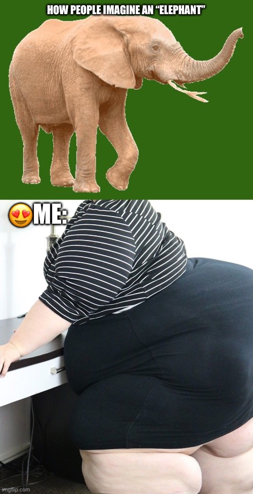 Ssbbw | HOW PEOPLE IMAGINE AN “ELEPHANT”; 😍ME: | image tagged in elephantitis of the existence,big booty | made w/ Imgflip meme maker