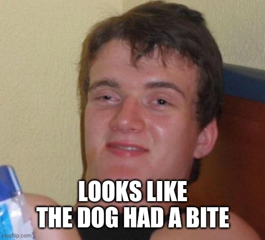 10 Guy Meme | LOOKS LIKE THE DOG HAD A BITE | image tagged in memes,10 guy | made w/ Imgflip meme maker