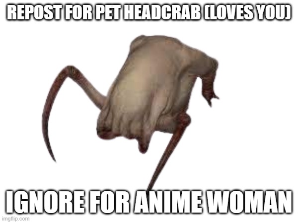 REPOST FOR PET HEADCRAB (LOVES YOU); IGNORE FOR ANIME WOMAN | made w/ Imgflip meme maker