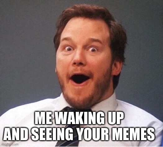 excited | ME WAKING UP AND SEEING YOUR MEMES | image tagged in excited | made w/ Imgflip meme maker