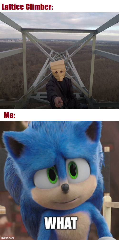 image tagged in sonic | made w/ Imgflip meme maker