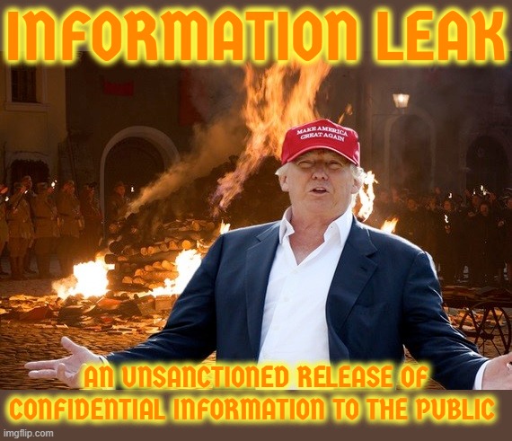 INFORMATION LEAK | INFORMATION LEAK; AN UNSANCTIONED RELEASE OF CONFIDENTIAL INFORMATION TO THE PUBLIC | image tagged in information leak,confidential,security,breach,classified,spy | made w/ Imgflip meme maker