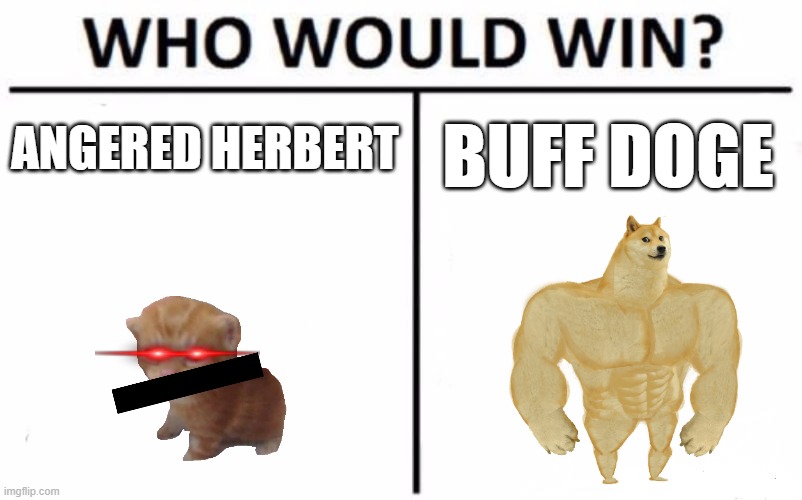 Who Would Win? Meme | ANGERED HERBERT; BUFF DOGE | image tagged in memes,who would win | made w/ Imgflip meme maker