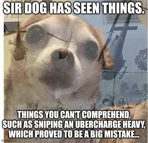 PTSD Chihuahua | SIR DOG HAS SEEN THINGS. THINGS YOU CAN'T COMPREHEND, SUCH AS SNIPING AN UBERCHARGE HEAVY, WHICH PROVED TO BE A BIG MISTAKE... | image tagged in ptsd chihuahua | made w/ Imgflip meme maker