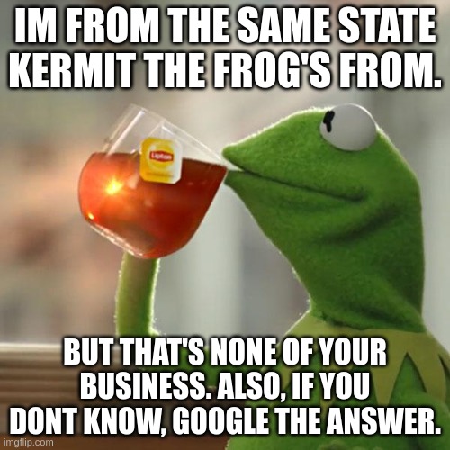 But That's None Of My Business | IM FROM THE SAME STATE KERMIT THE FROG'S FROM. BUT THAT'S NONE OF YOUR BUSINESS. ALSO, IF YOU DONT KNOW, GOOGLE THE ANSWER. | image tagged in memes,but that's none of my business,kermit the frog | made w/ Imgflip meme maker