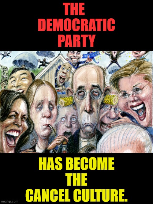 Why Would You Expect Anything Else? | THE   DEMOCRATIC PARTY; HAS BECOME THE CANCEL CULTURE. | image tagged in memes,politics,democratic party,real,cancel culture,ah yes | made w/ Imgflip meme maker