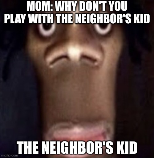 the kid | MOM: WHY DON'T YOU PLAY WITH THE NEIGHBOR'S KID; THE NEIGHBOR'S KID | image tagged in quandale dingle,relatable,funny,funny memes,lol so funny,funny meme | made w/ Imgflip meme maker