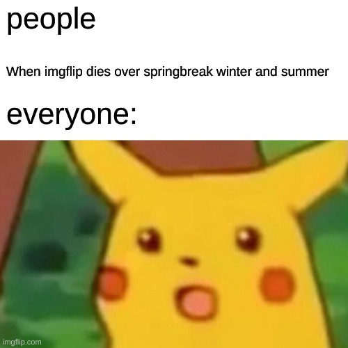 flag this | people; When imgflip dies over springbreak winter and summer; everyone: | image tagged in memes,surprised pikachu | made w/ Imgflip meme maker