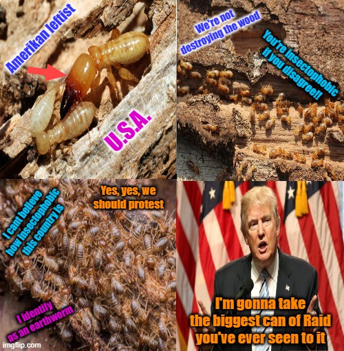 Better call the Orkin man | We're not destroying the wood; Amerikan leftist; You're insectophobic if you disagree!! U.S.A. Yes, yes, we should protest; I cant believe how insectophobic this country is; I'm gonna take the biggest can of Raid you've ever seen to it; I identify as an earthworm | image tagged in donald trump,leftists,election 2024,memes,communists | made w/ Imgflip meme maker