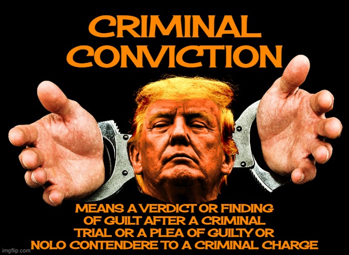 CRIMINAL CONVICTION | CRIMINAL
CONVICTION; MEANS A VERDICT OR FINDING OF GUILT AFTER A CRIMINAL TRIAL OR A PLEA OF GUILTY OR NOLO CONTENDERE TO A CRIMINAL CHARGE | image tagged in criminal conviction,verdict,guilt,plea,nolo contendere,trial | made w/ Imgflip meme maker