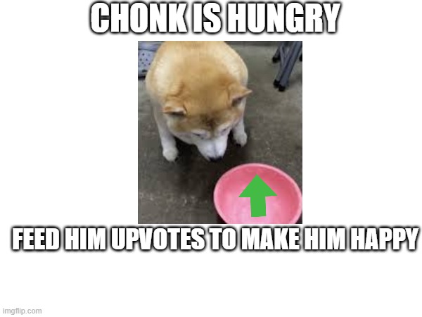 feed the chonk | CHONK IS HUNGRY; FEED HIM UPVOTES TO MAKE HIM HAPPY | made w/ Imgflip meme maker